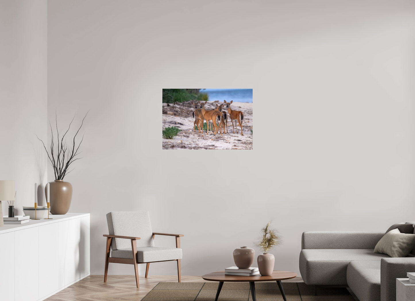 35.7 x 24″, Photo Print Under Acrylic Glass Key deer on acrylic glass