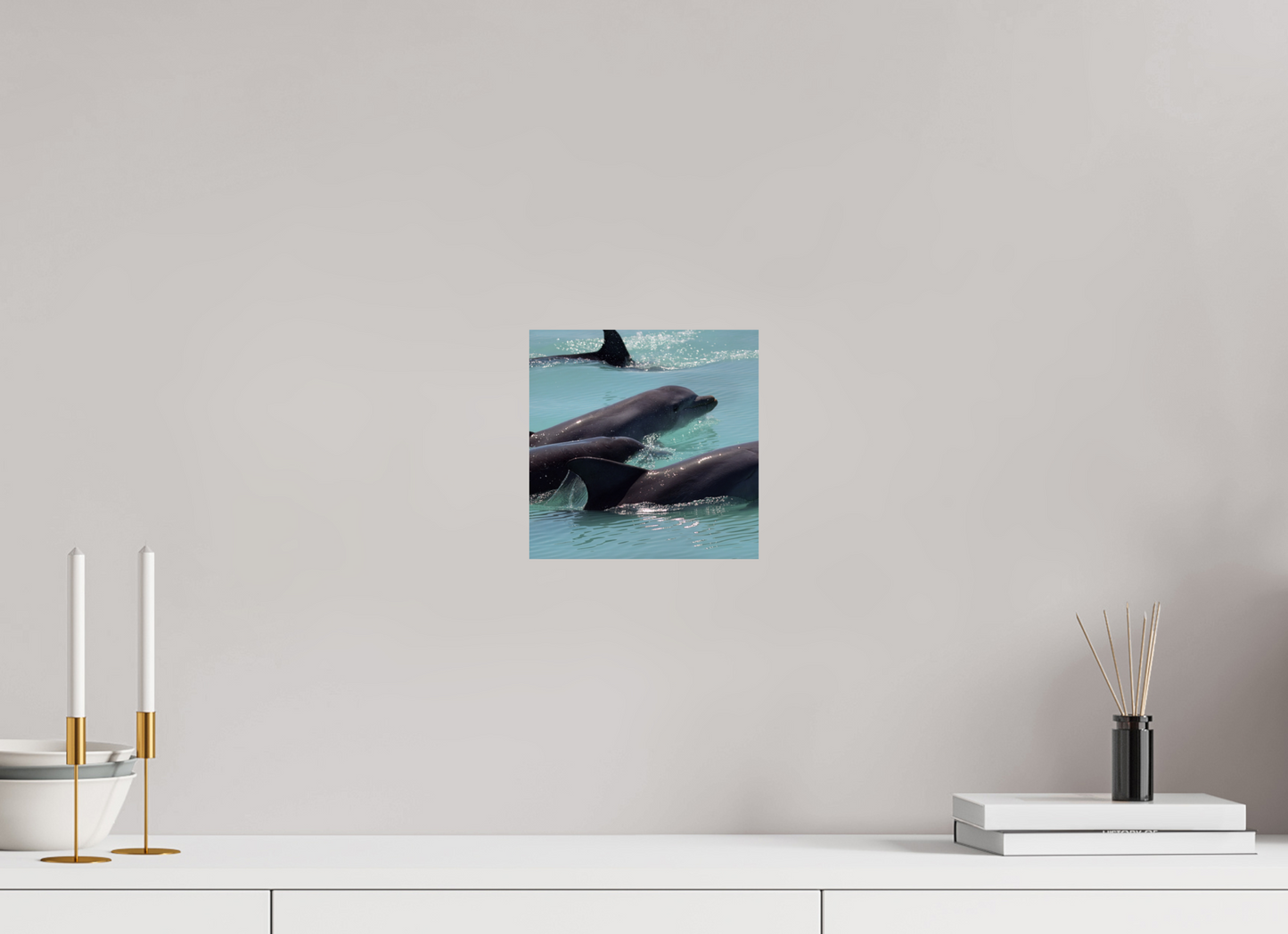 Dolphin Pod Photo Print On Fuji Crystal DP II