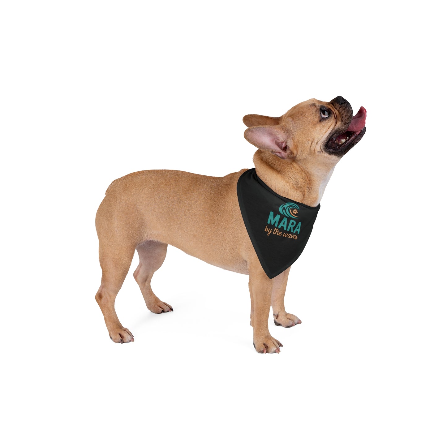 Pet Bandana - Mara by the Waves Original Bandana