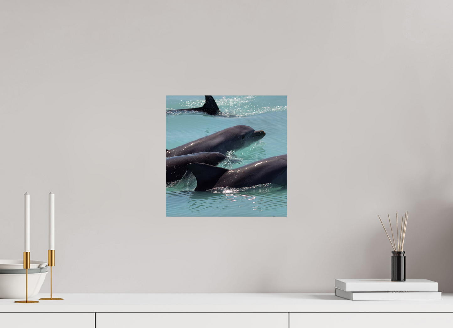 Dolphin Pod Photo Print On Fuji Crystal DP II