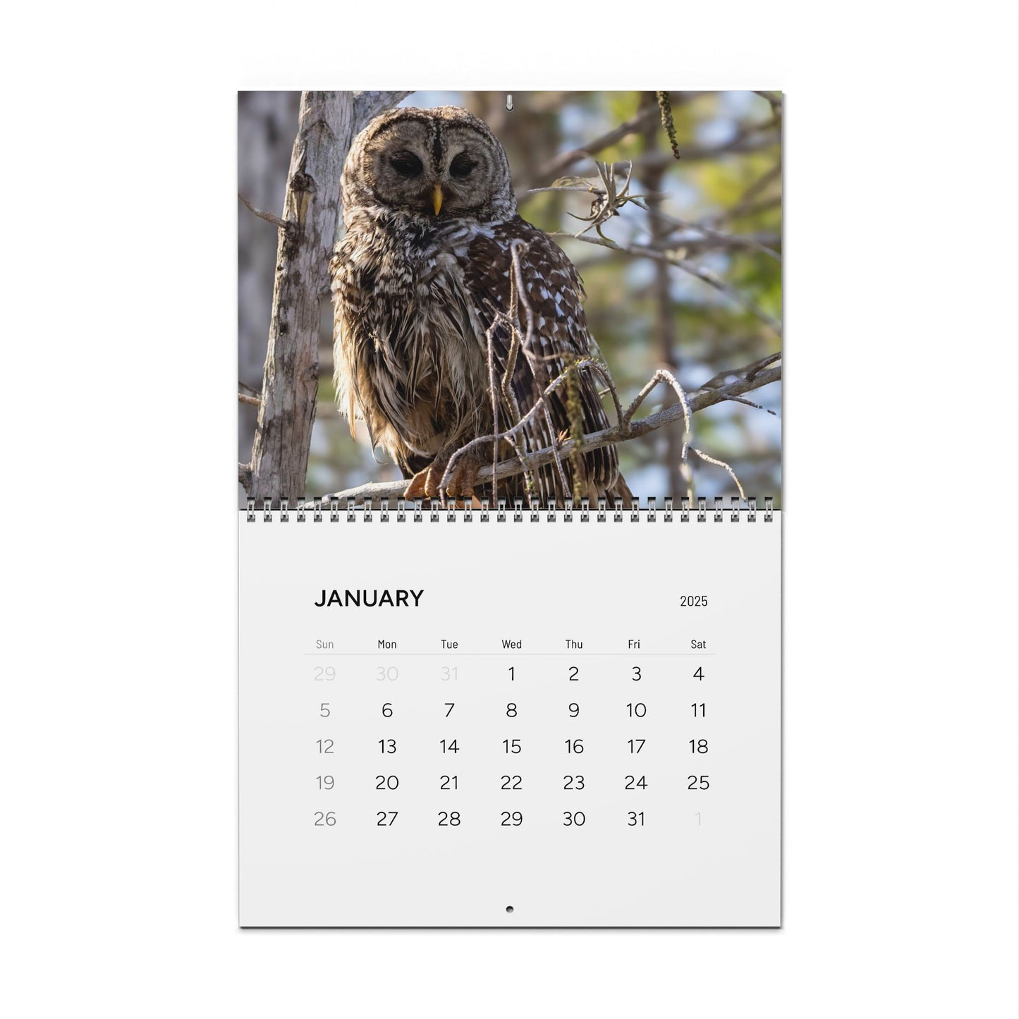 Nature Lover's Wall Calendar 2025 - Featuring Stunning Wildlife Photography