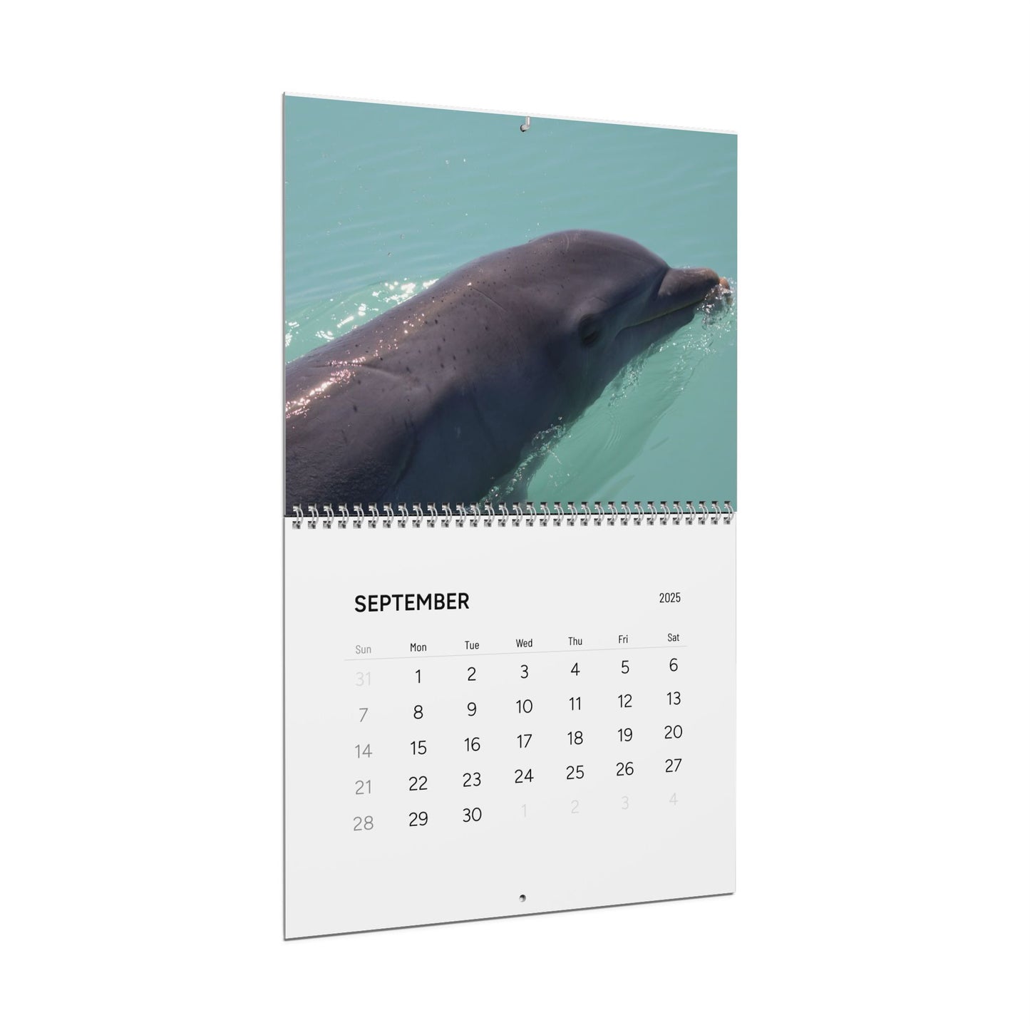 Nature Lover's Wall Calendar 2025 - Featuring Stunning Wildlife Photography
