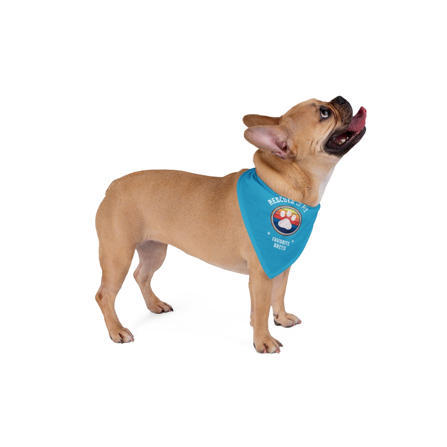 Pet Bandana - Rescued is my favorite breed