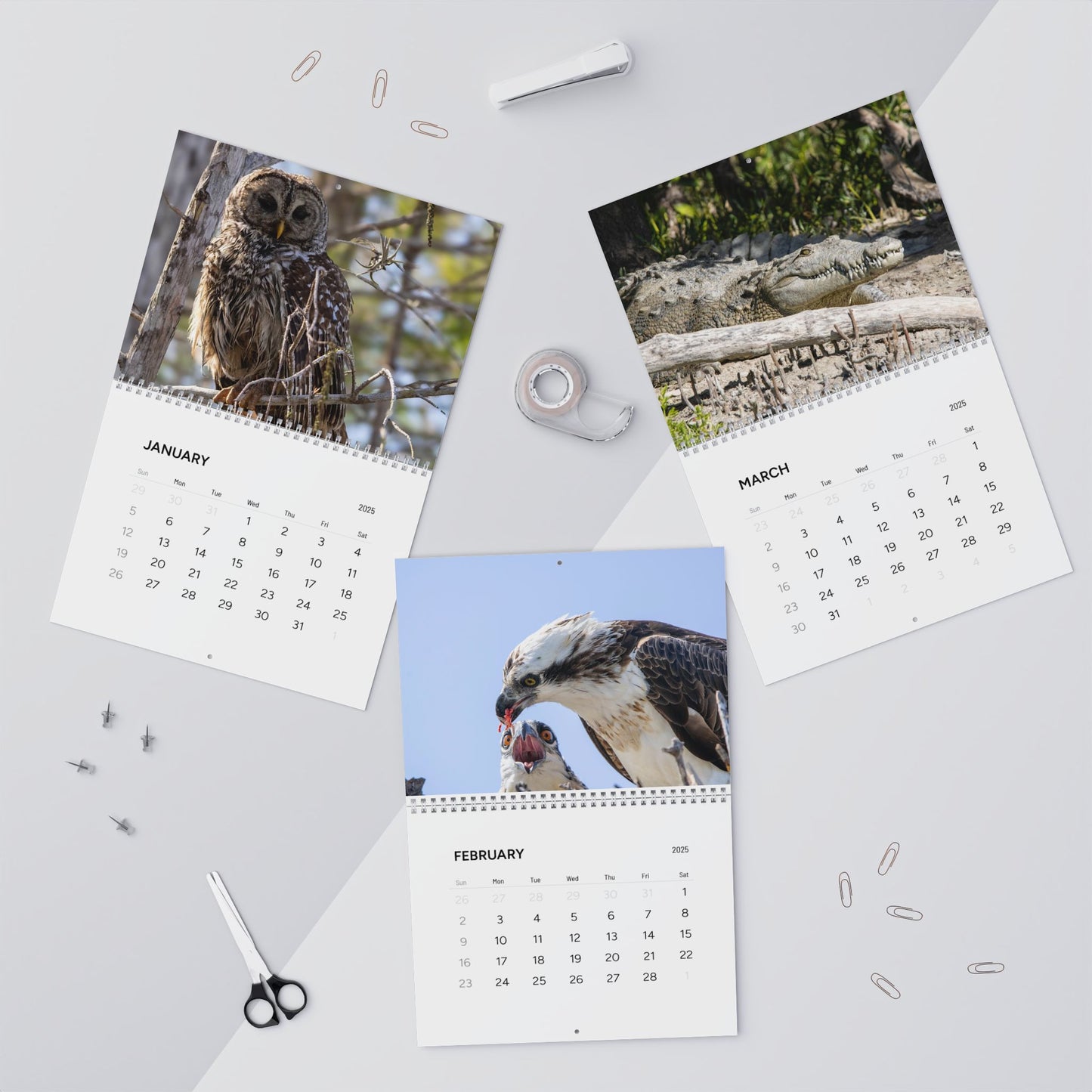 Nature Lover's Wall Calendar 2025 - Featuring Stunning Wildlife Photography