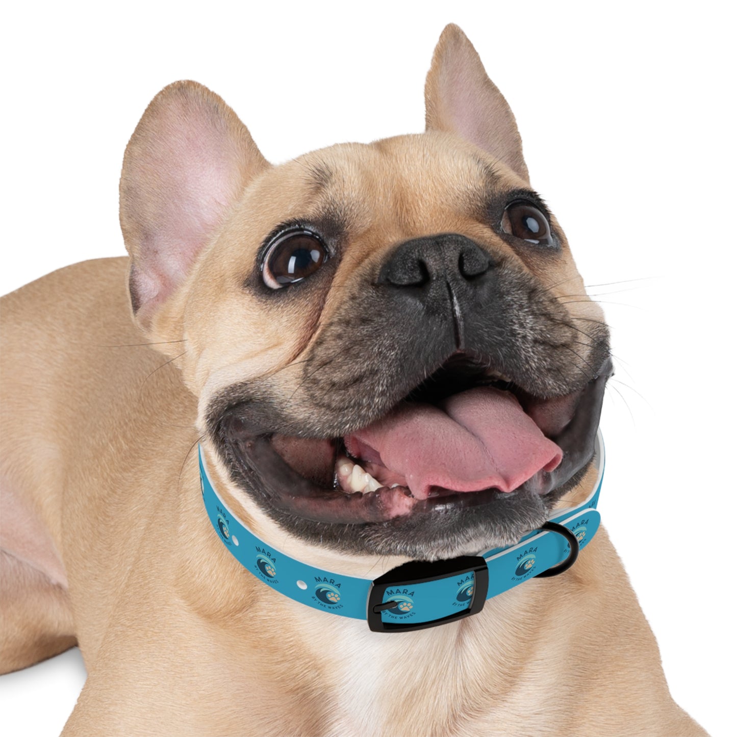 Mara by the Waves custom dog collar