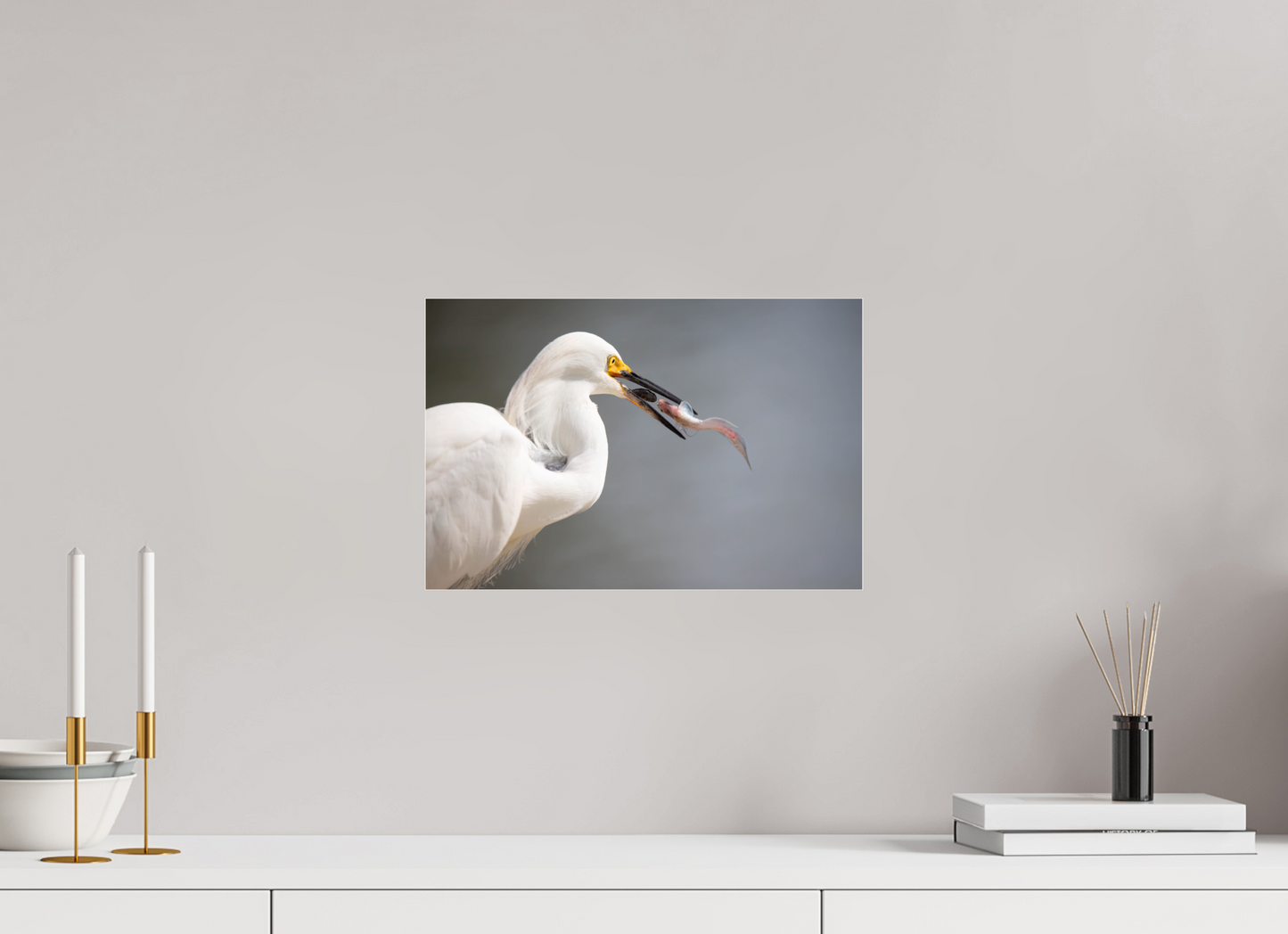 Snowy Egret on Acrylic Glass