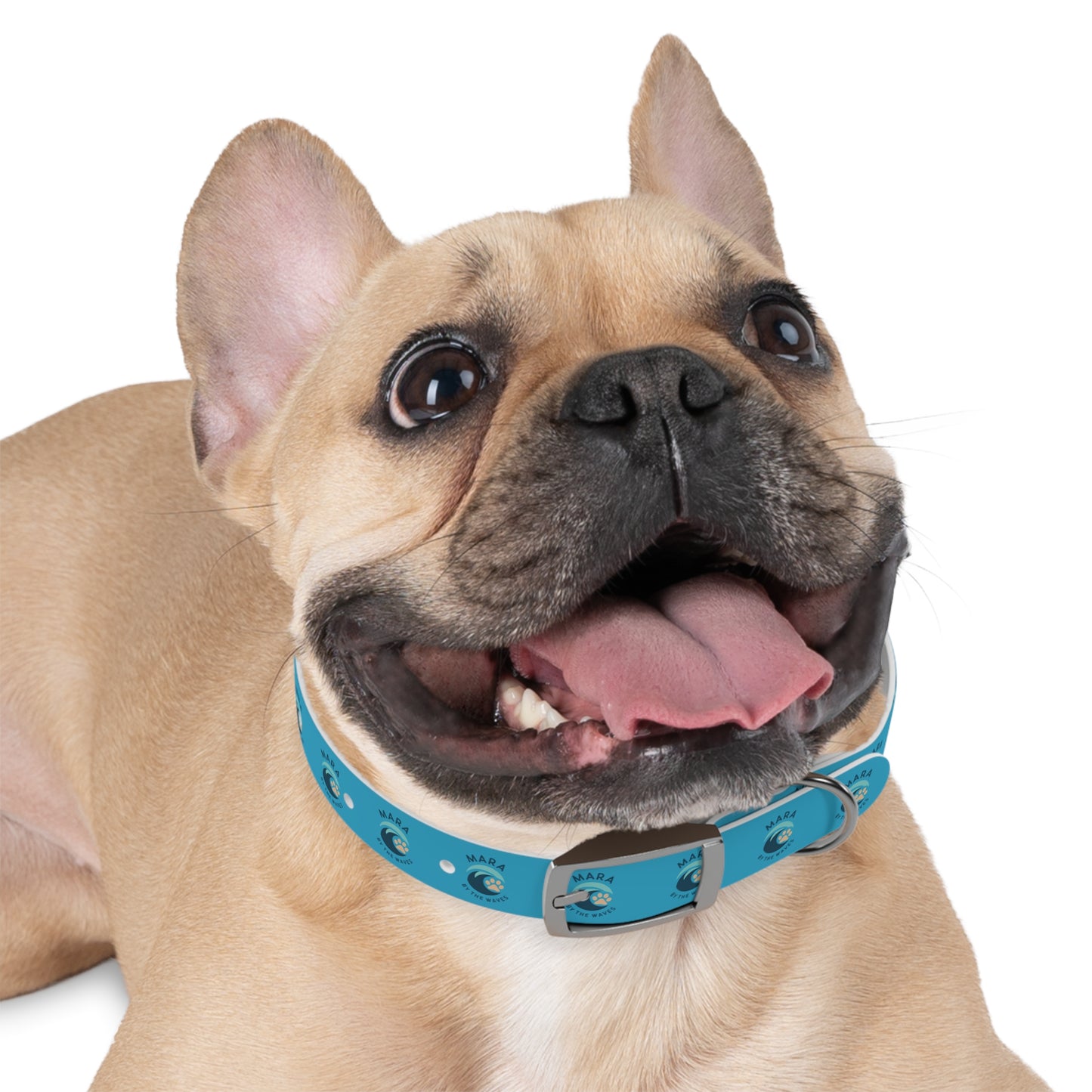 Mara by the Waves custom dog collar
