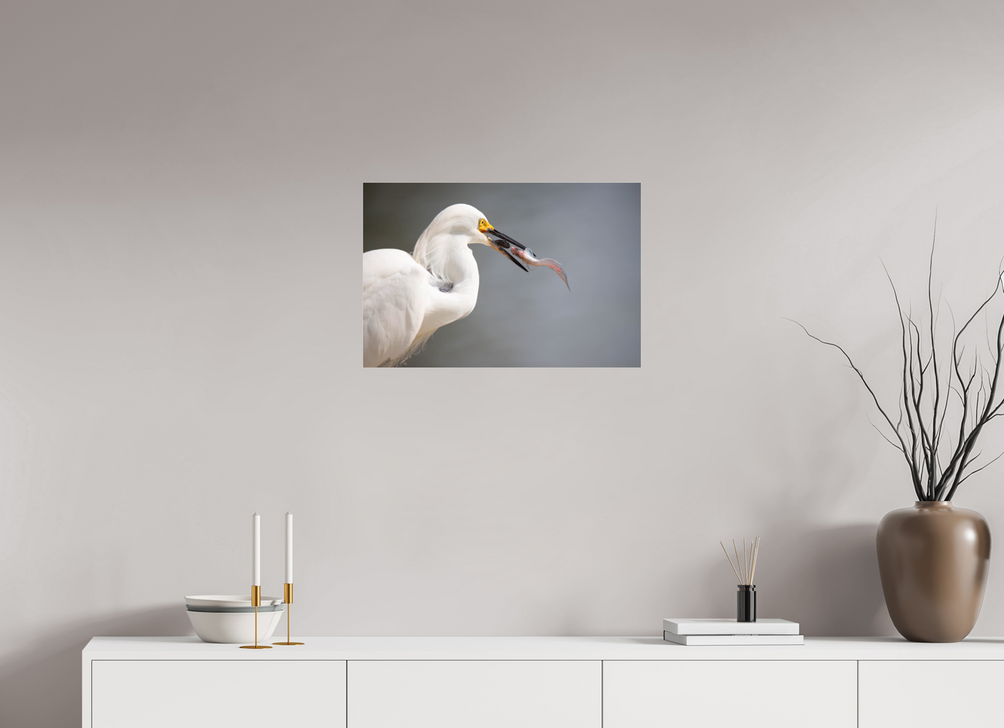 Snowy Egret on Acrylic Glass
