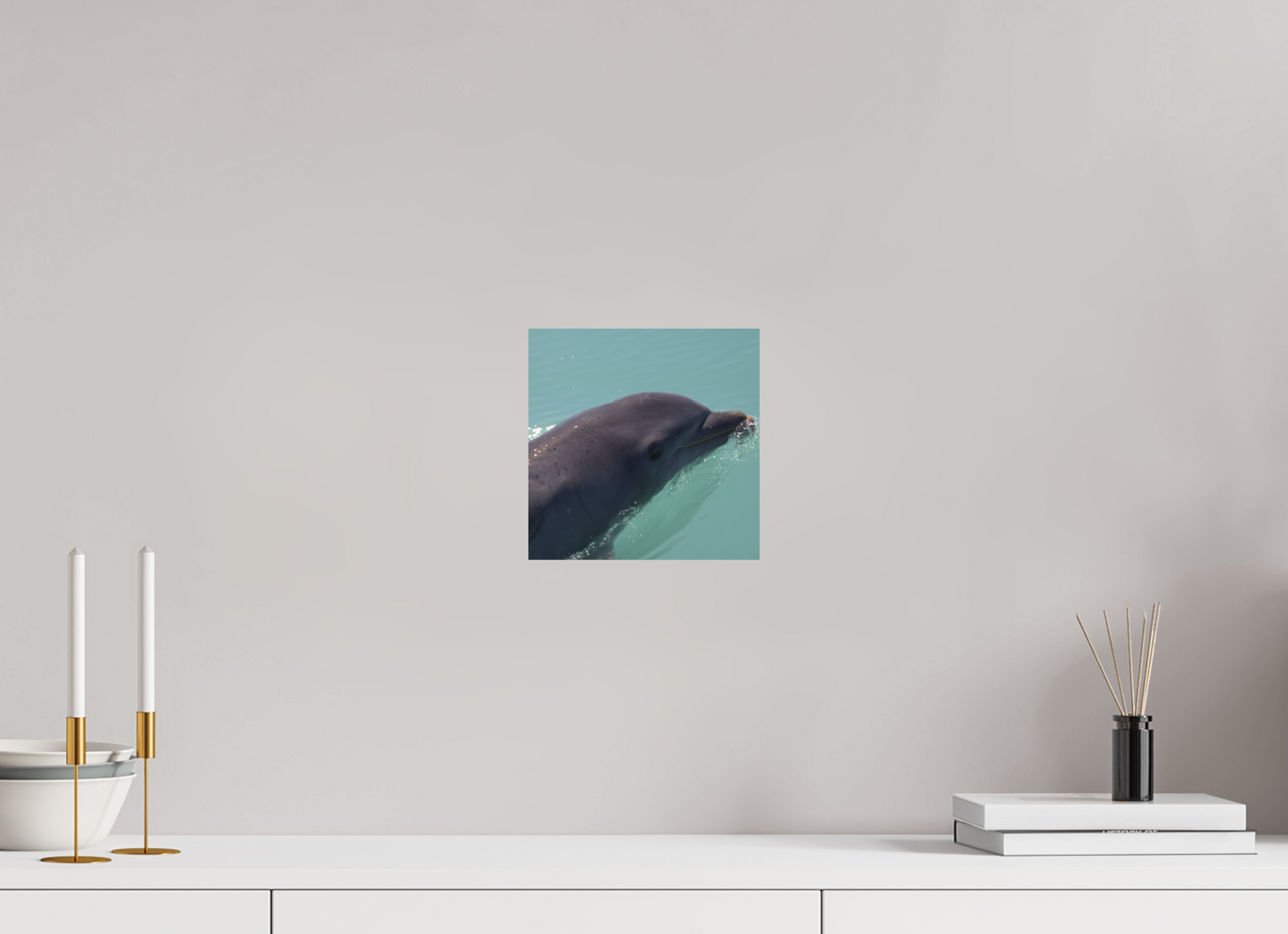 Smiling Dolphin Direct Print on Forex