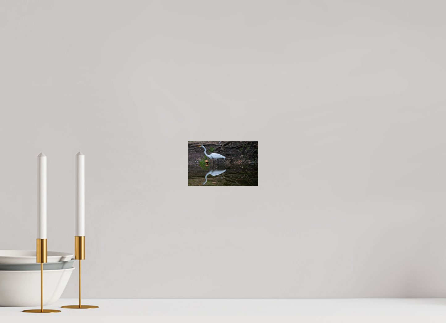 Great White Egret Photo Print Under Acrylic Glass