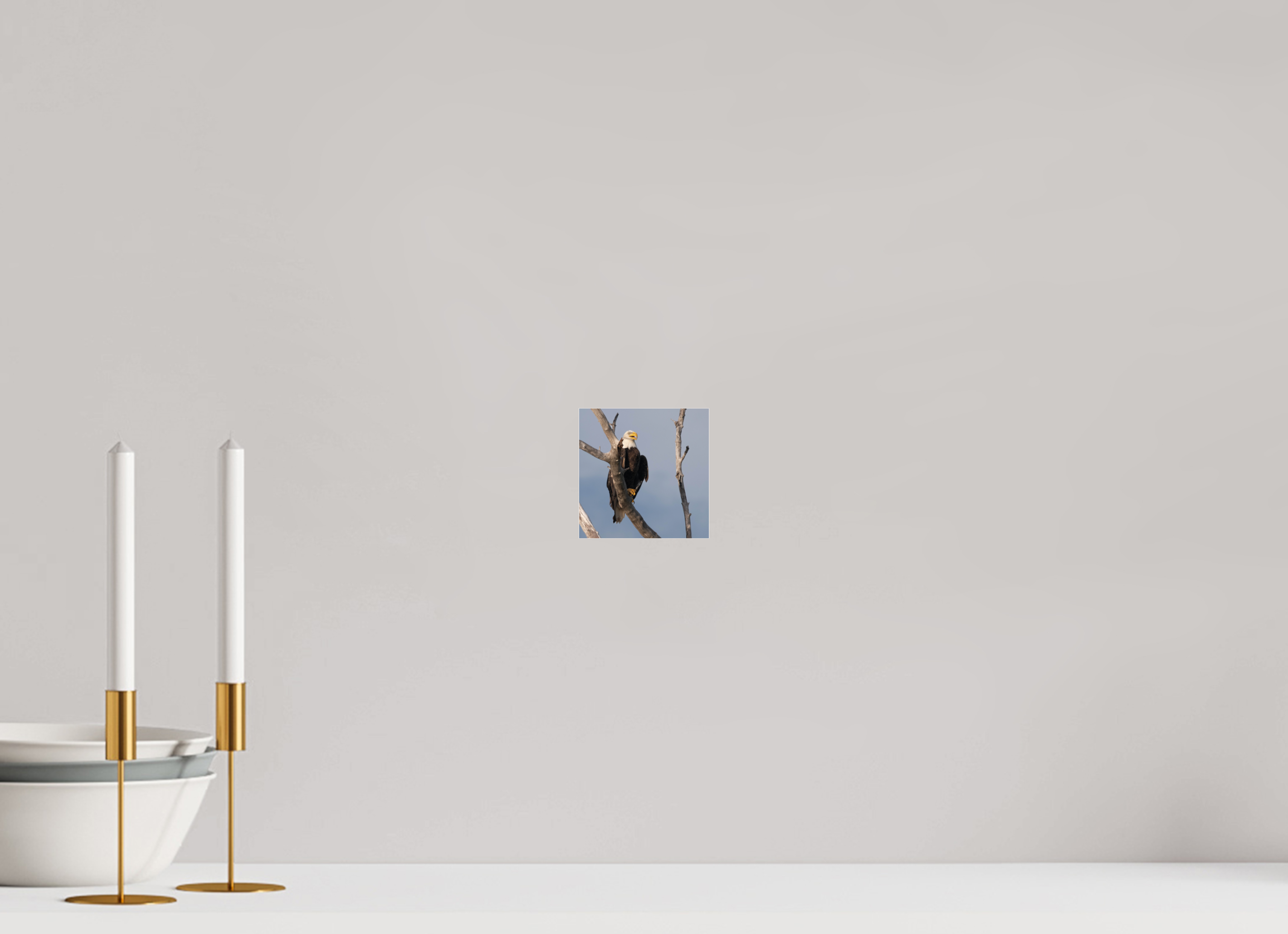 Bald Eagle on Acrylic Glass