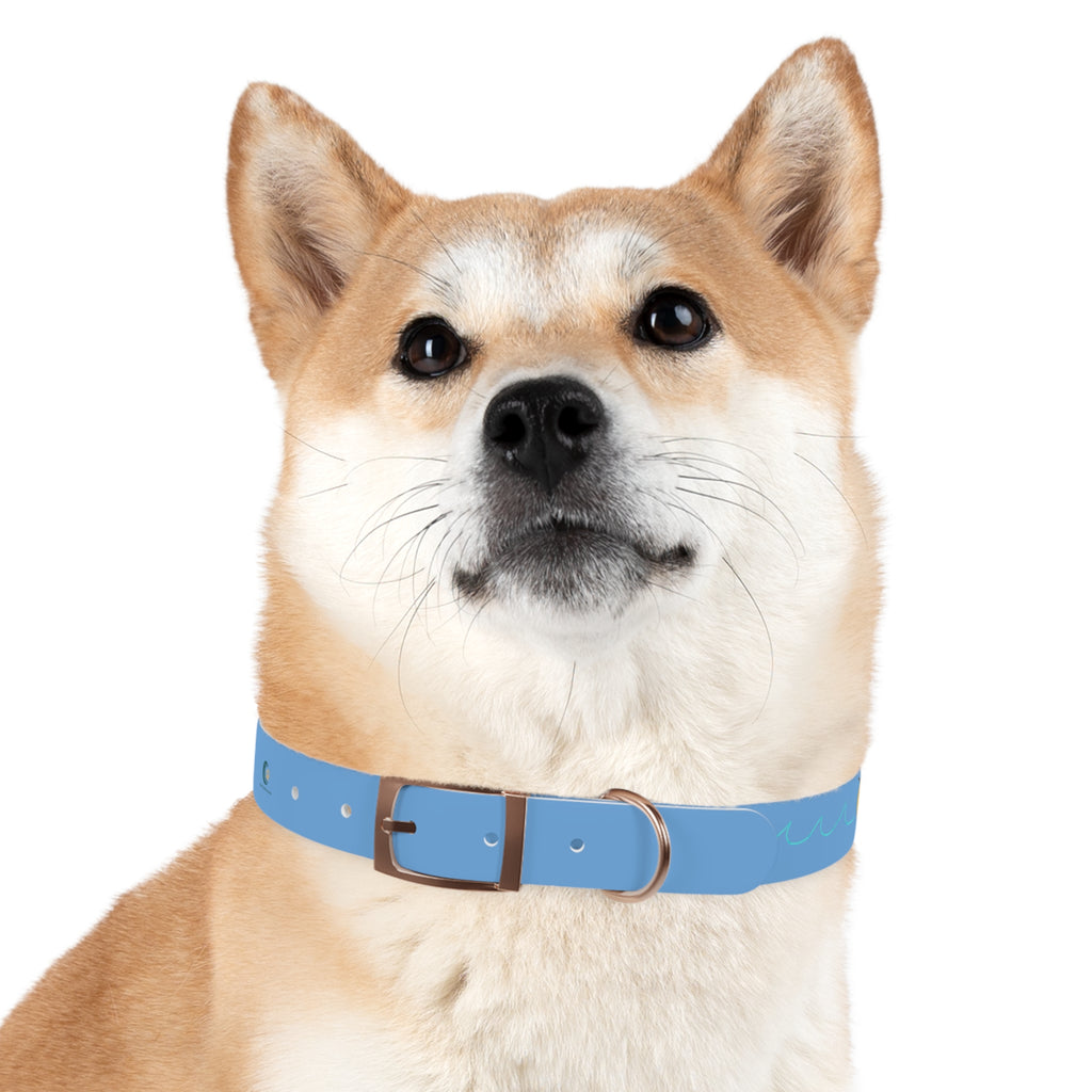 Blue Mango Dog Collar — Personalized Tropical Fruit Pattern