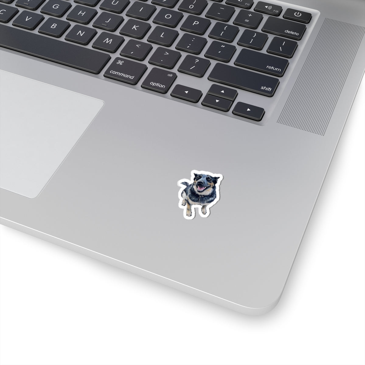 Blue Heeler Sticker