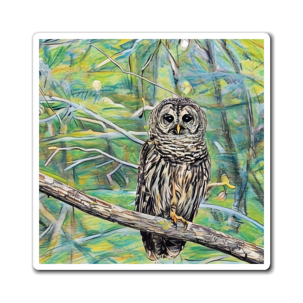 Owl Magnet