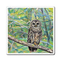 Owl Magnet