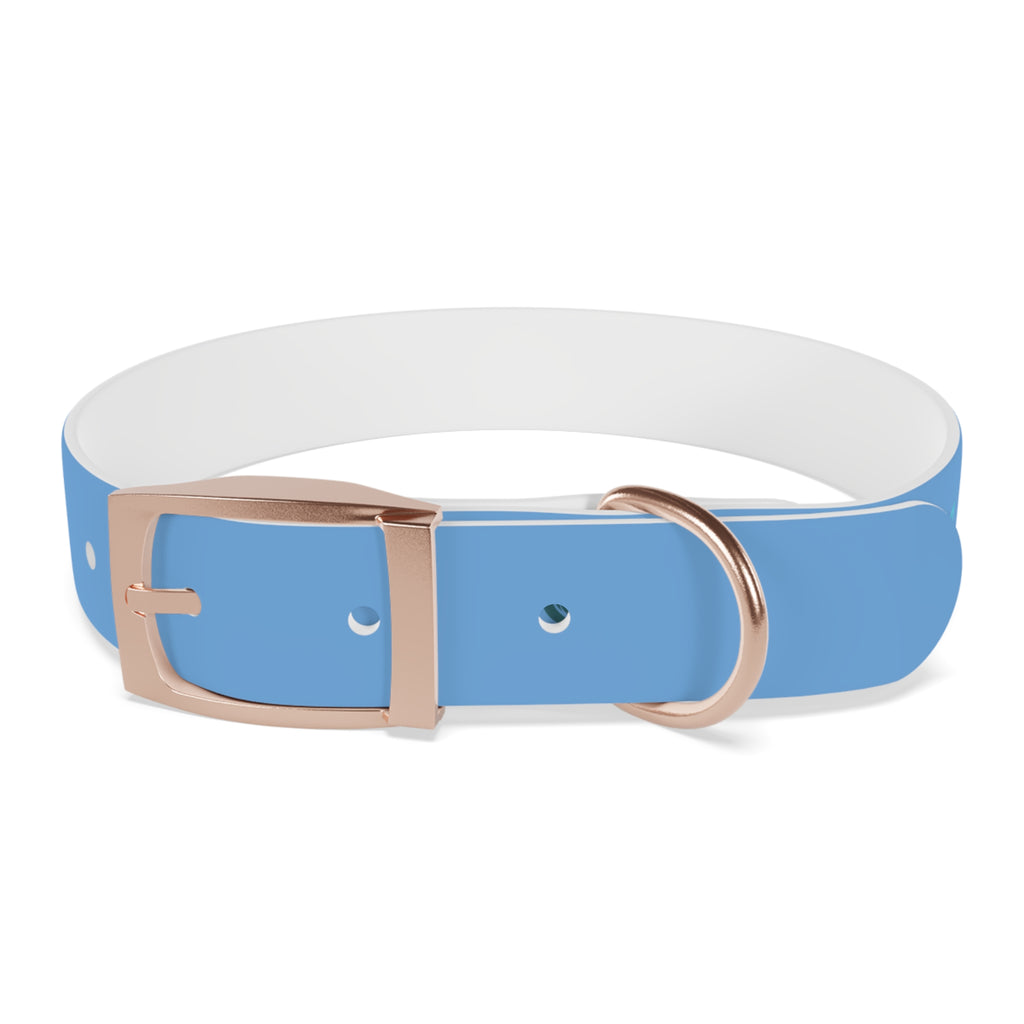 Blue Mango Dog Collar — Personalized Tropical Fruit Pattern