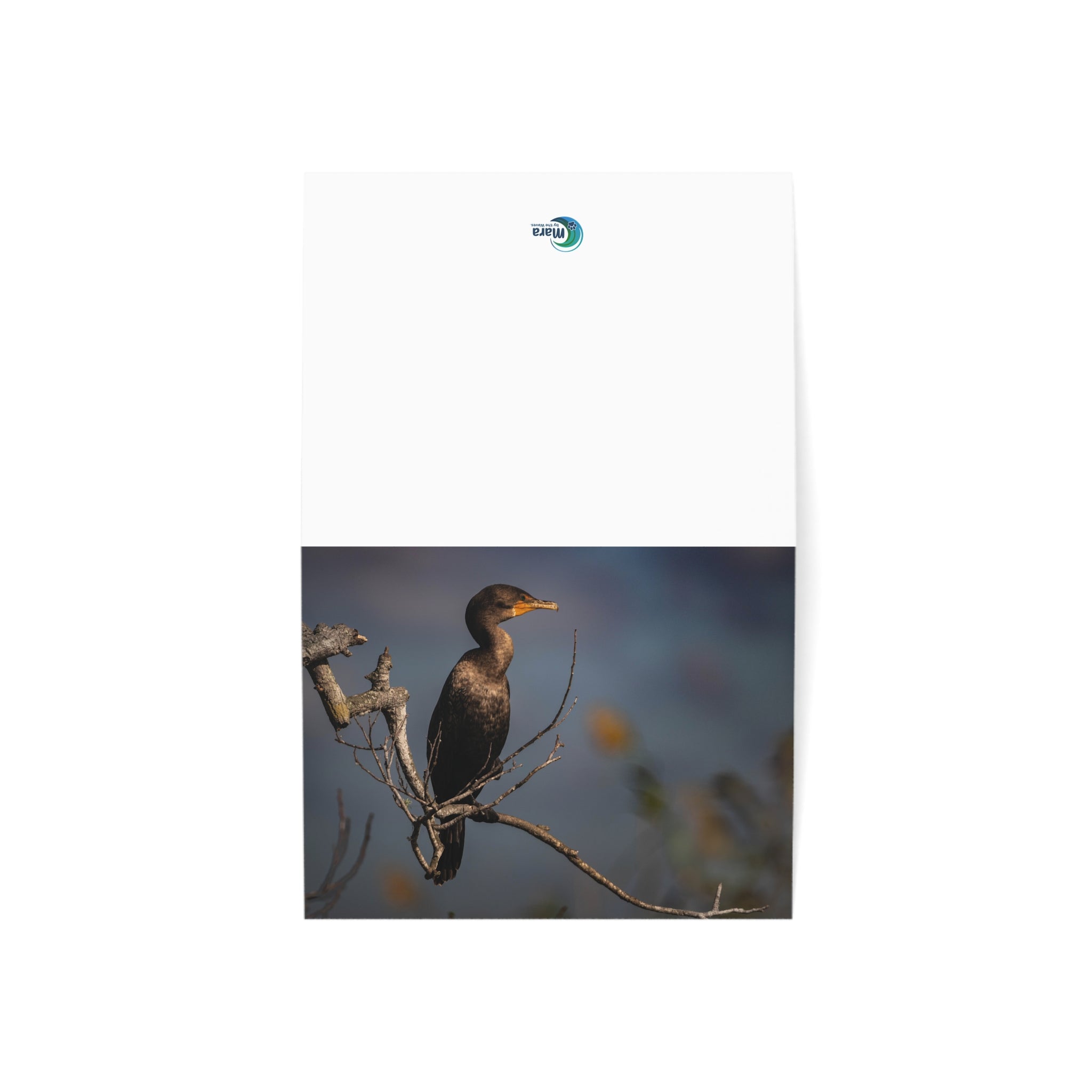 Cormorant Wildlife Greeting Card — Rustic Nature Photo Card (1, 10, 30, 50 pcs)