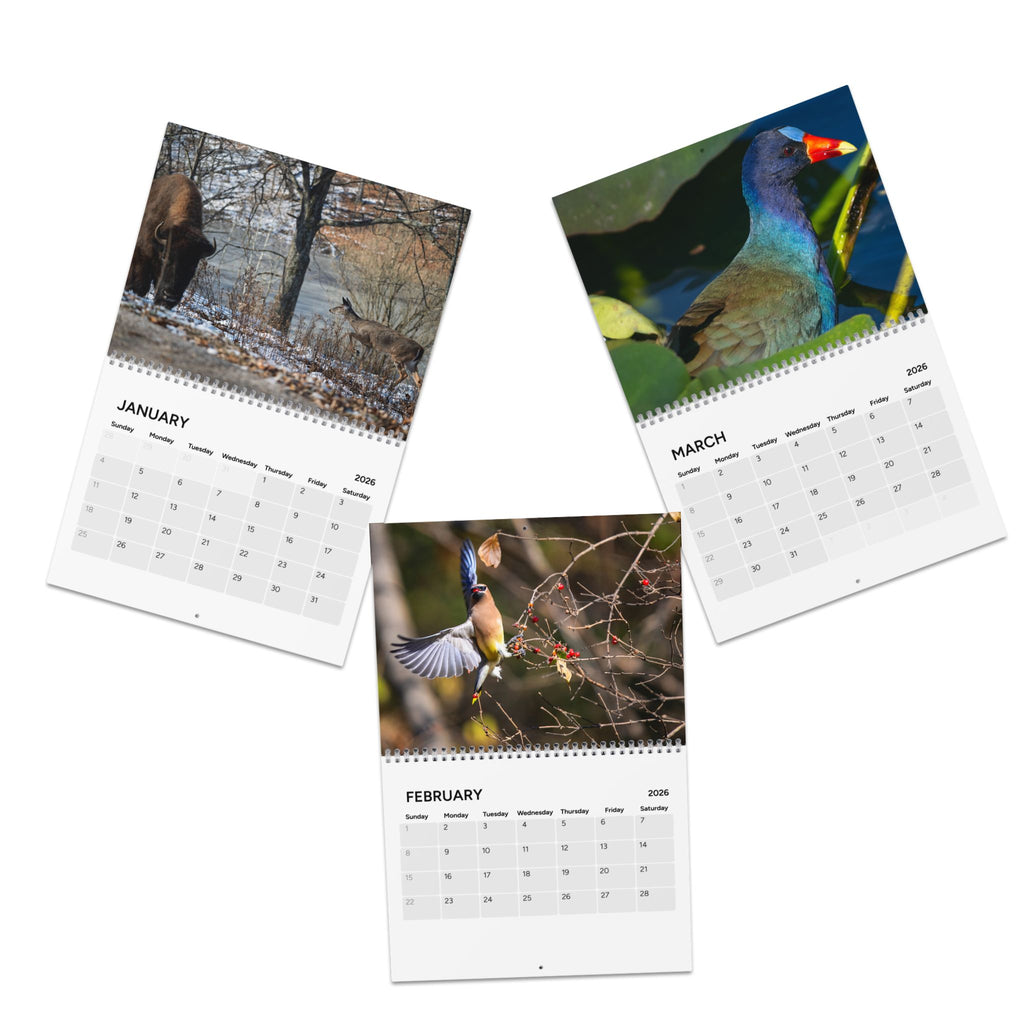 2026 Wall Calendar - Aubrey Lyons Photography