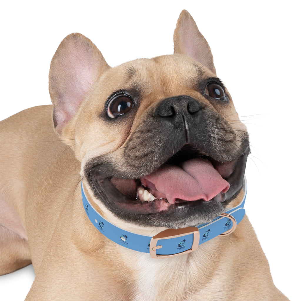 Sail Fish Mara by the Waves Logo Dog Collar - Durable Waterproof Pet Collar for Everyday Wear