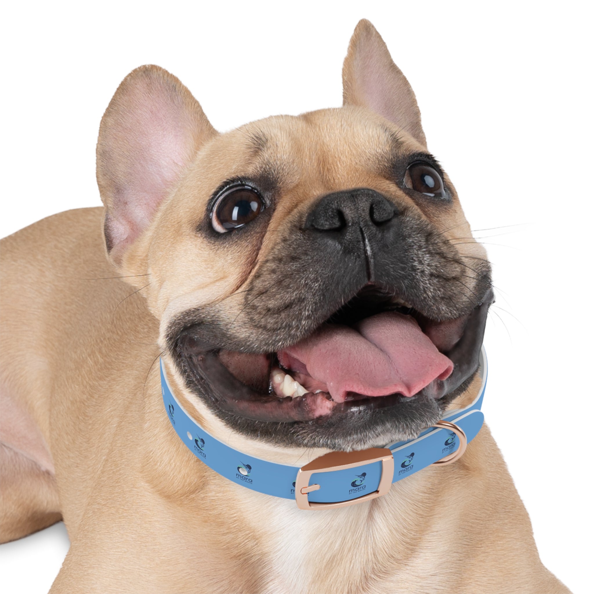 Sail Fish Mara by the Waves Logo Dog Collar - Durable Waterproof Pet Collar for Everyday Wear