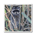 Cute Raccoon Magnet - Nature-Inspired Art for Home Decor