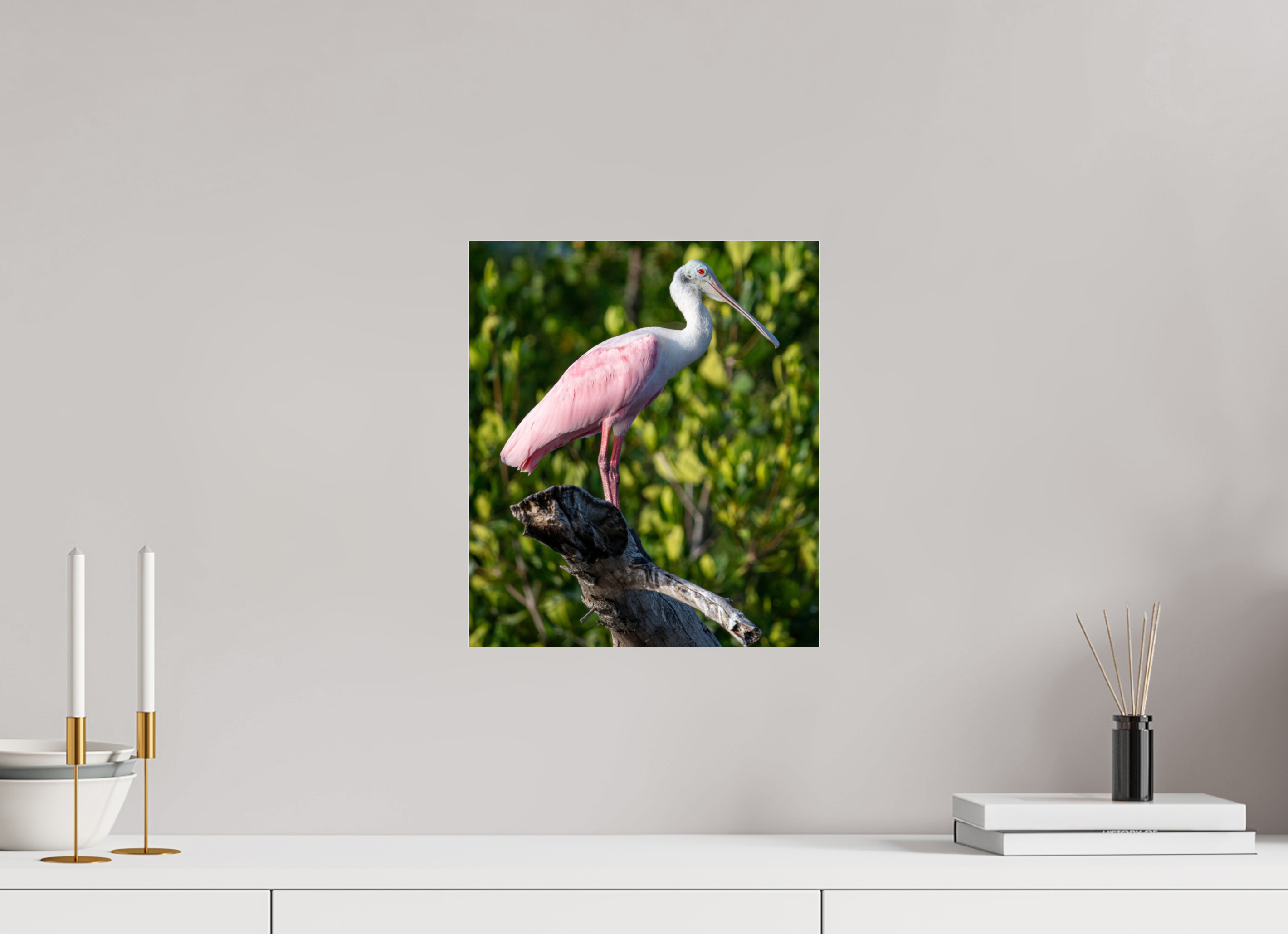 Roseate Spoonbill on Acrylic Glass