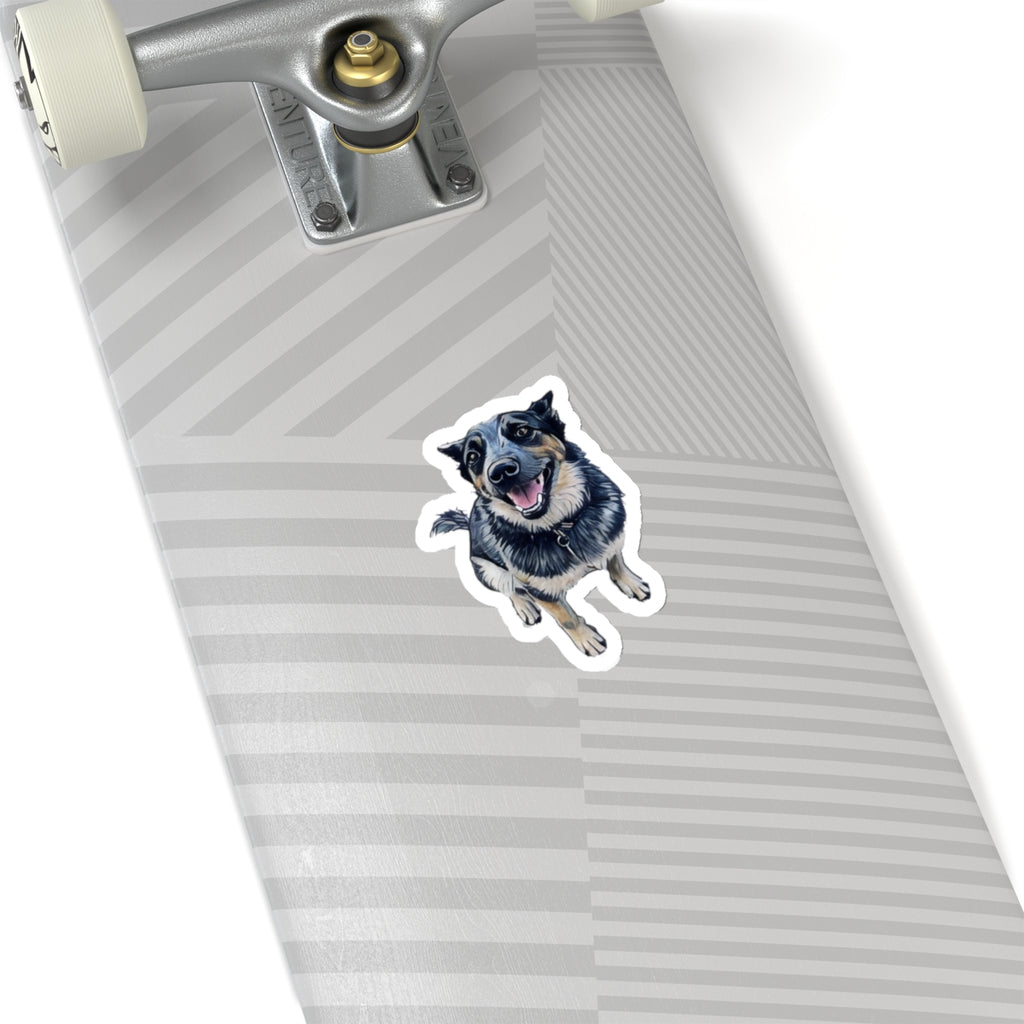 Blue Heeler Sticker