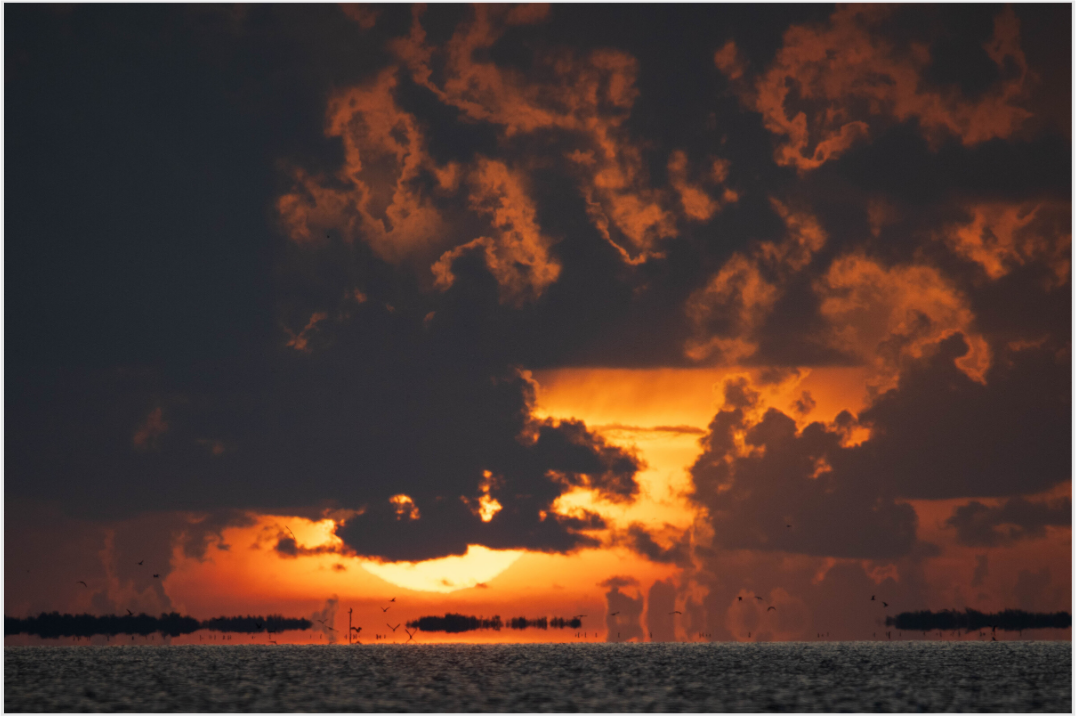 Sunrise Over the Water – Flamingo, Everglades National Park on Acrylic Glass