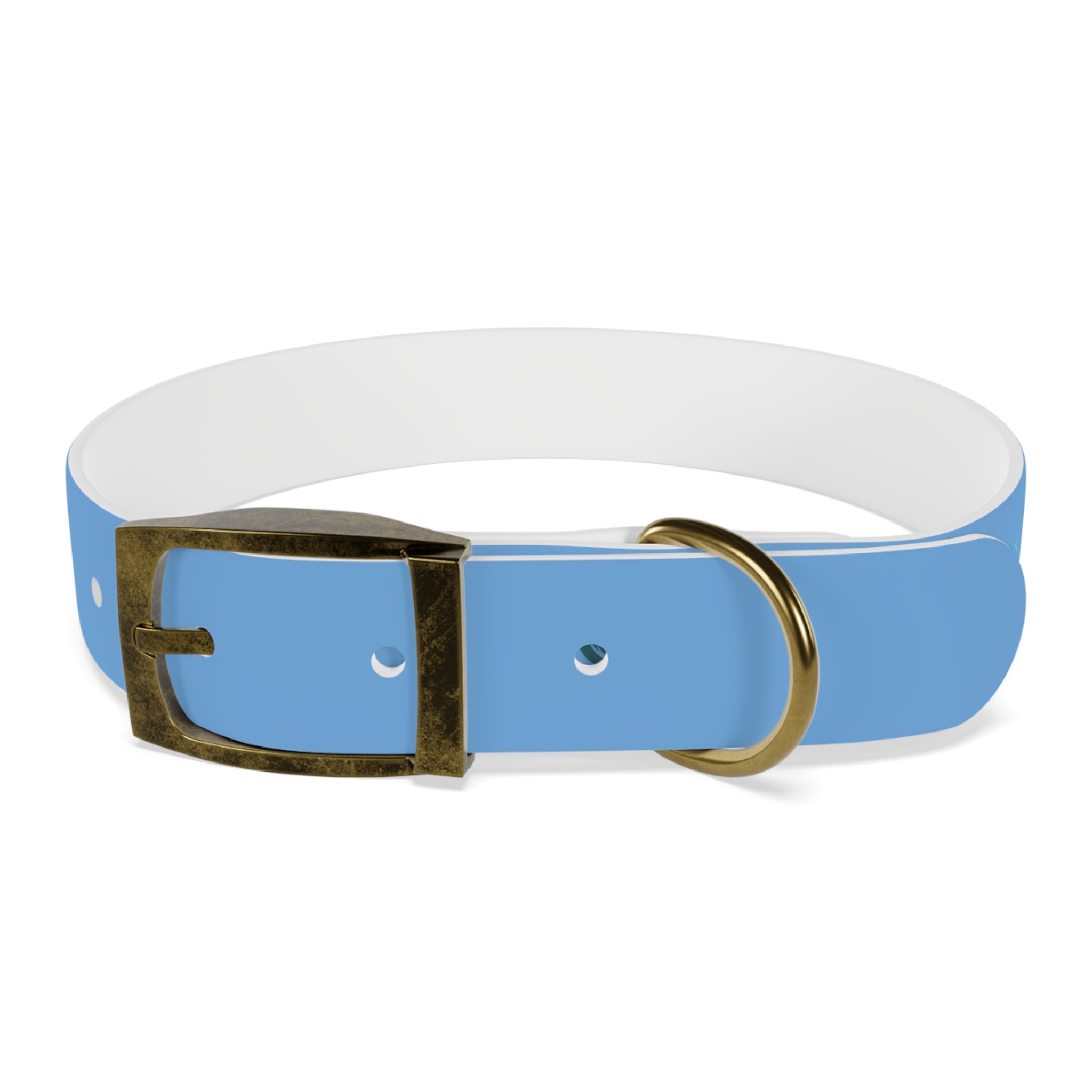 Blue Mango Dog Collar — Personalized Tropical Fruit Pattern