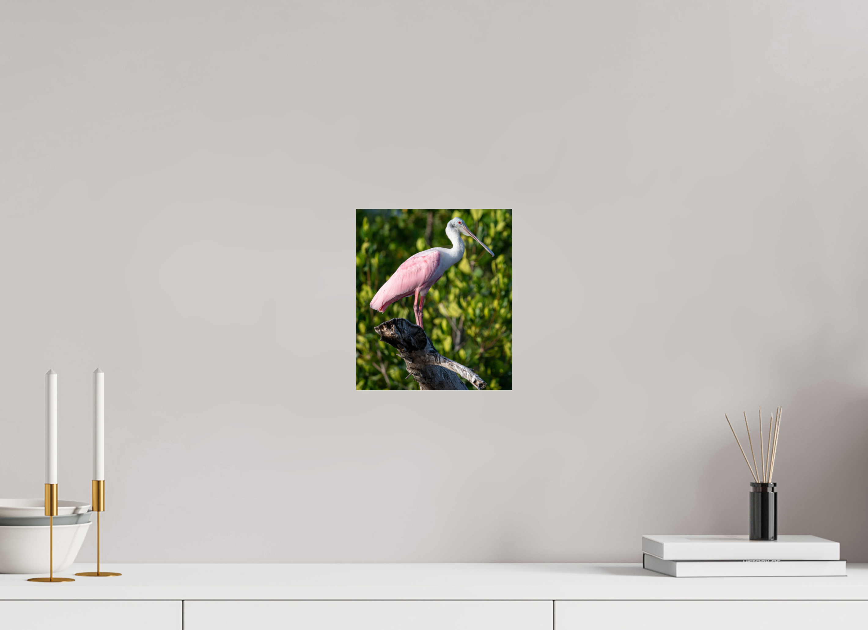 Roseate Spoonbill on Acrylic Glass