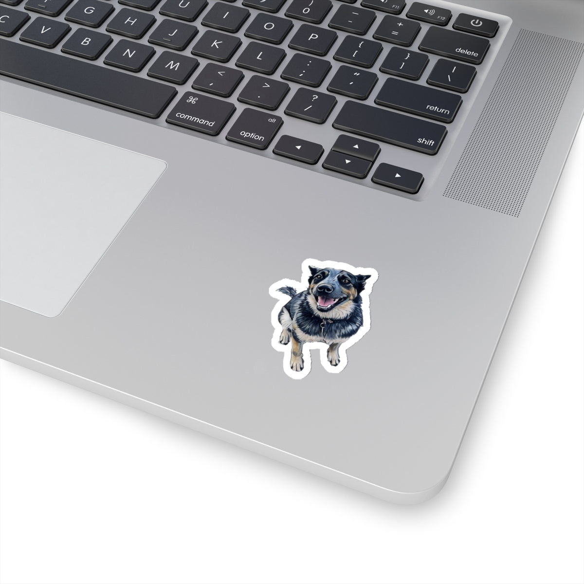 Blue Heeler Sticker