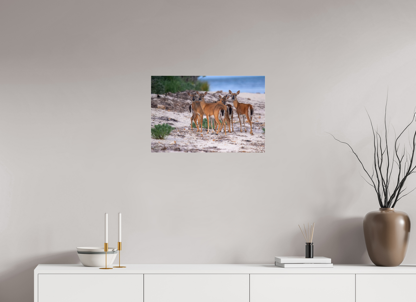 23.8 x 16″, Photo Print Under Acrylic Glass Key deer on acrylic glass