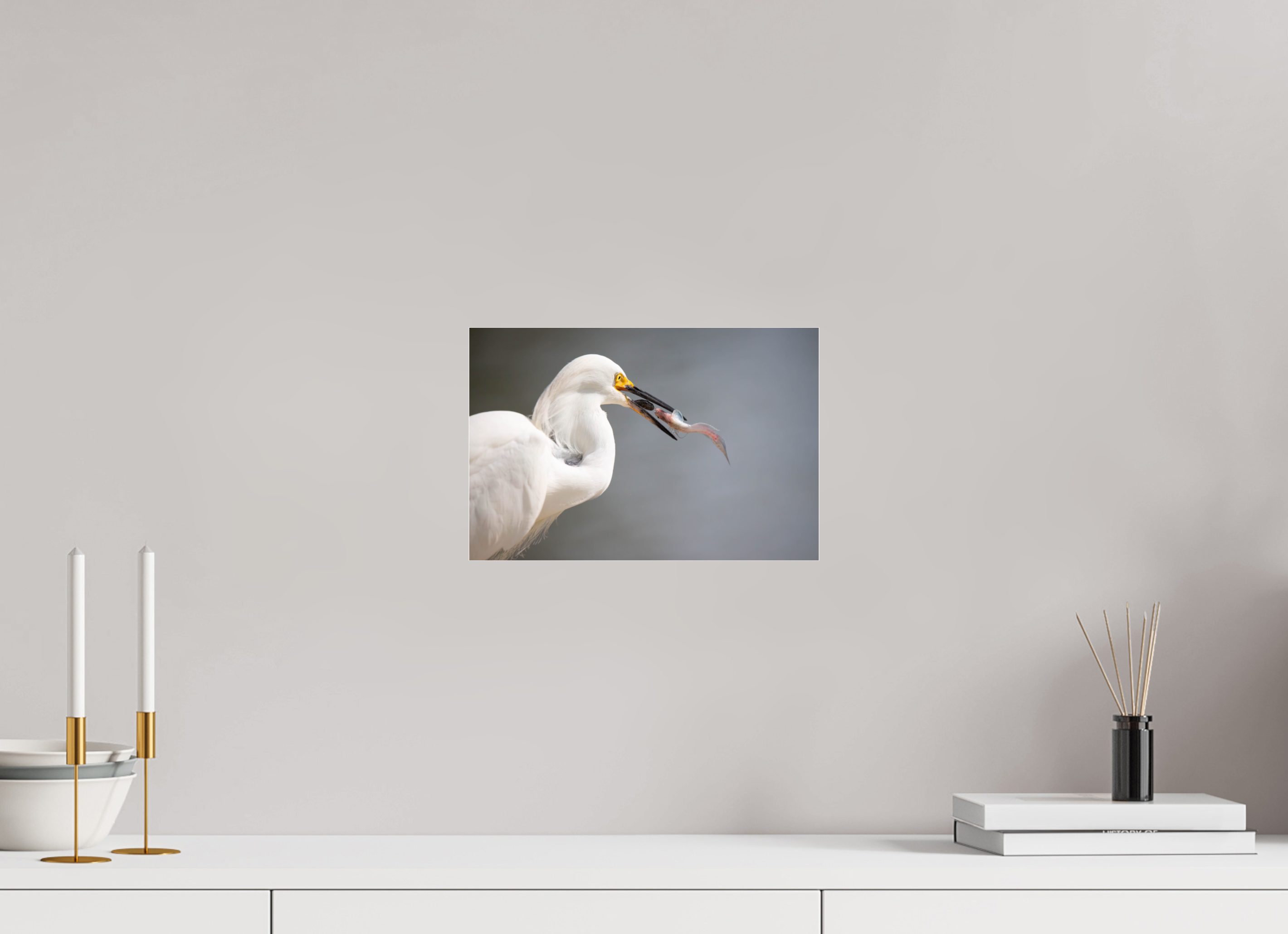 Snowy Egret on Acrylic Glass