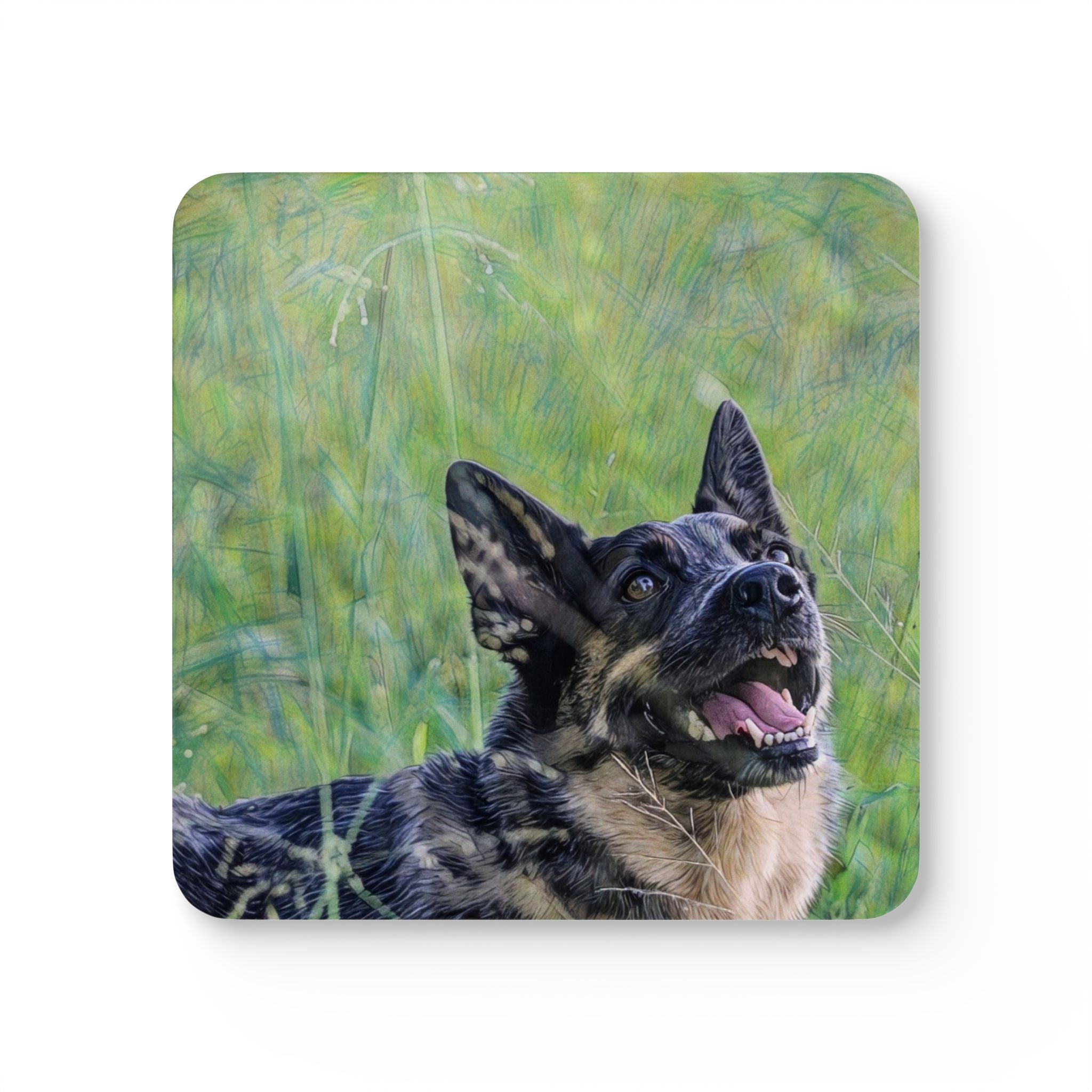 Coaster Set - Cattle Dog Design