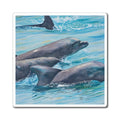 Dolphins in Motion Magnets - Ocean-Inspired Home Decor