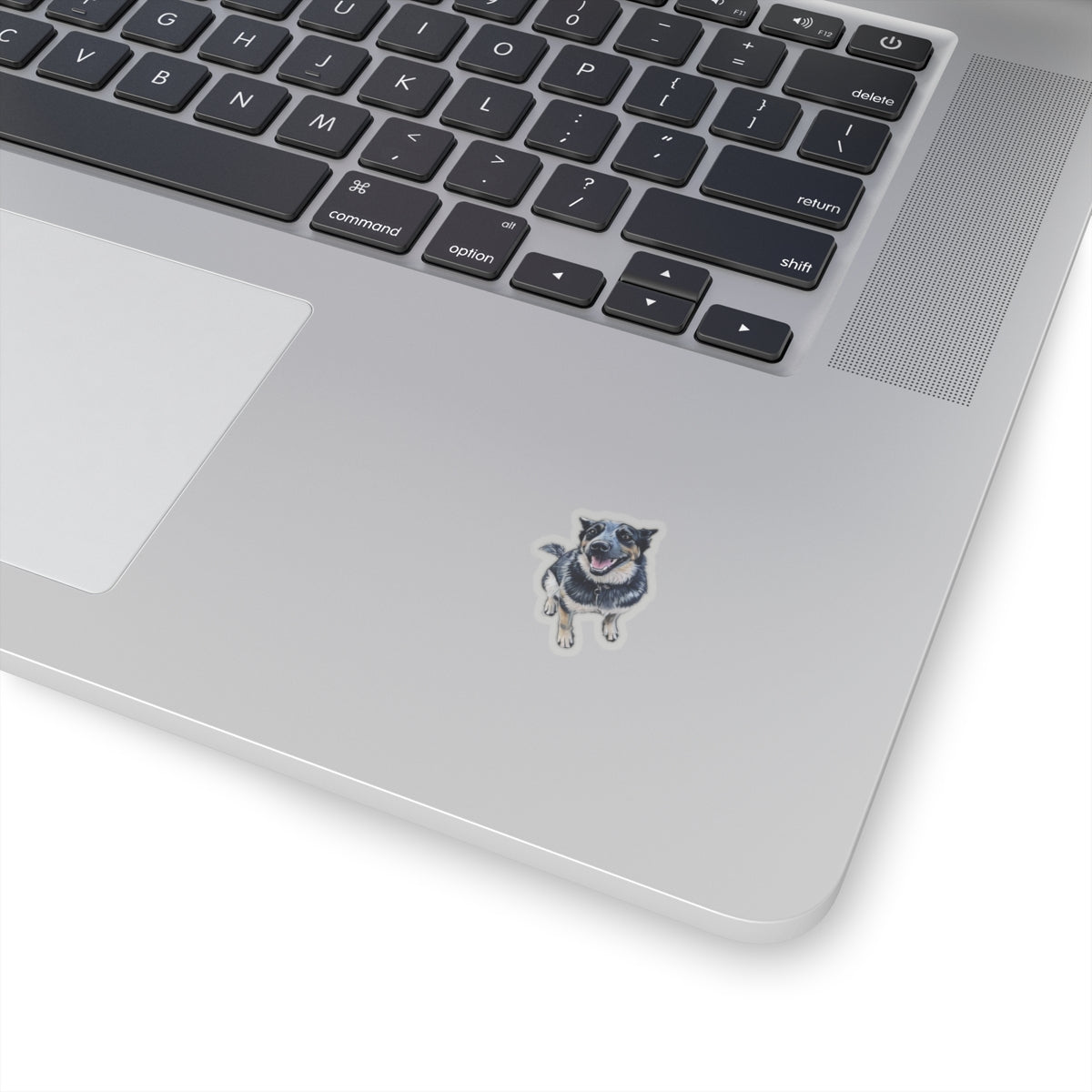 Blue Heeler Sticker