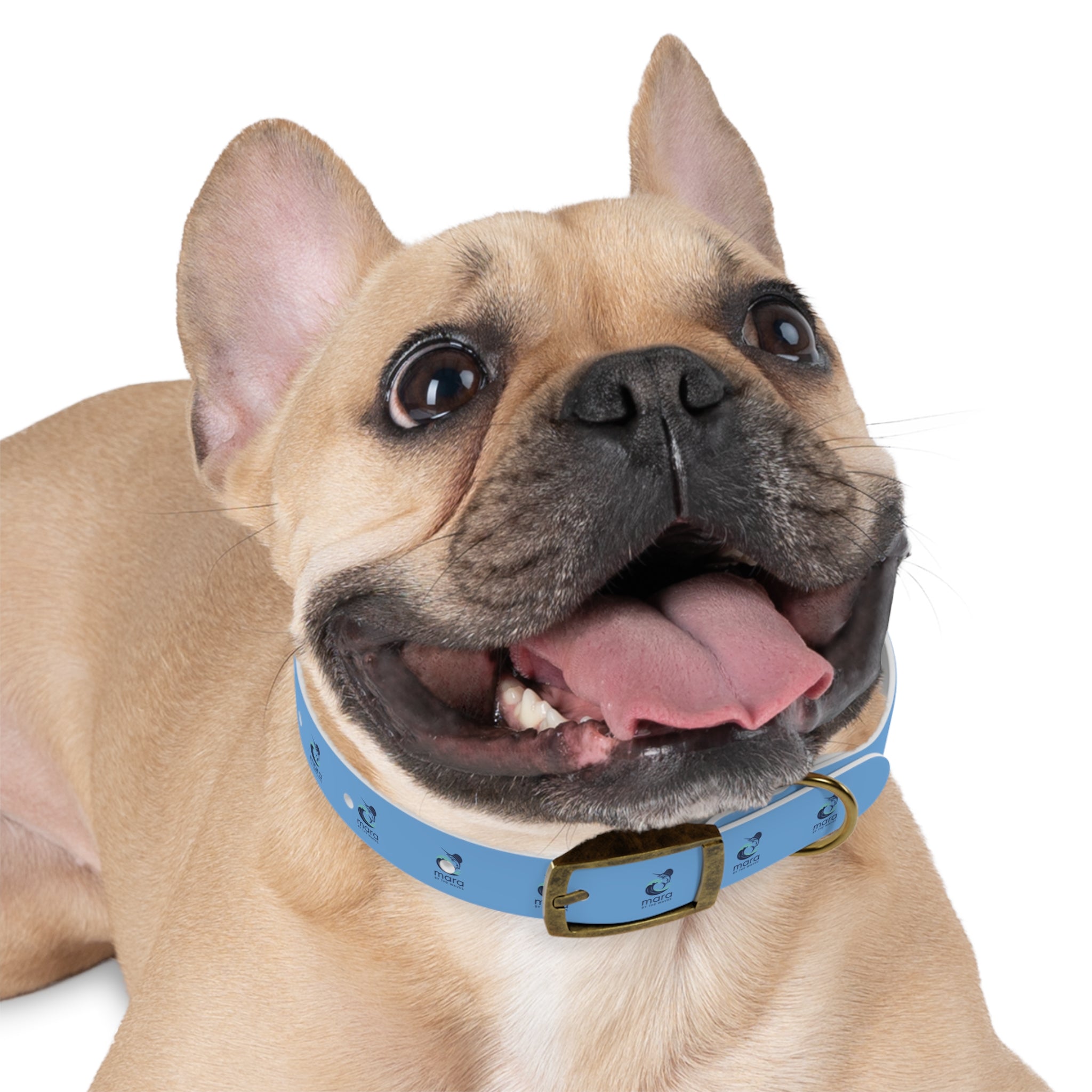 Sail Fish Mara by the Waves Logo Dog Collar - Durable Waterproof Pet Collar for Everyday Wear