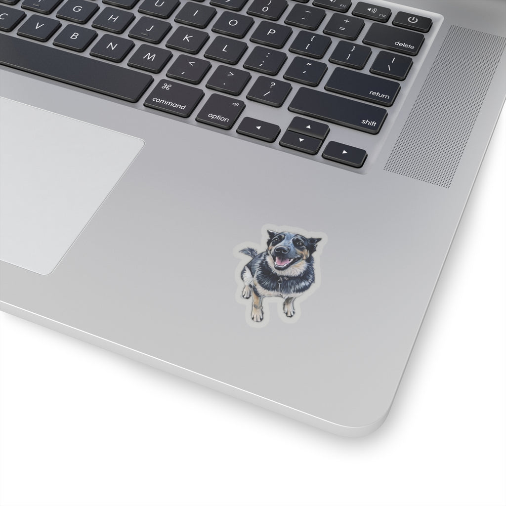 Blue Heeler Sticker
