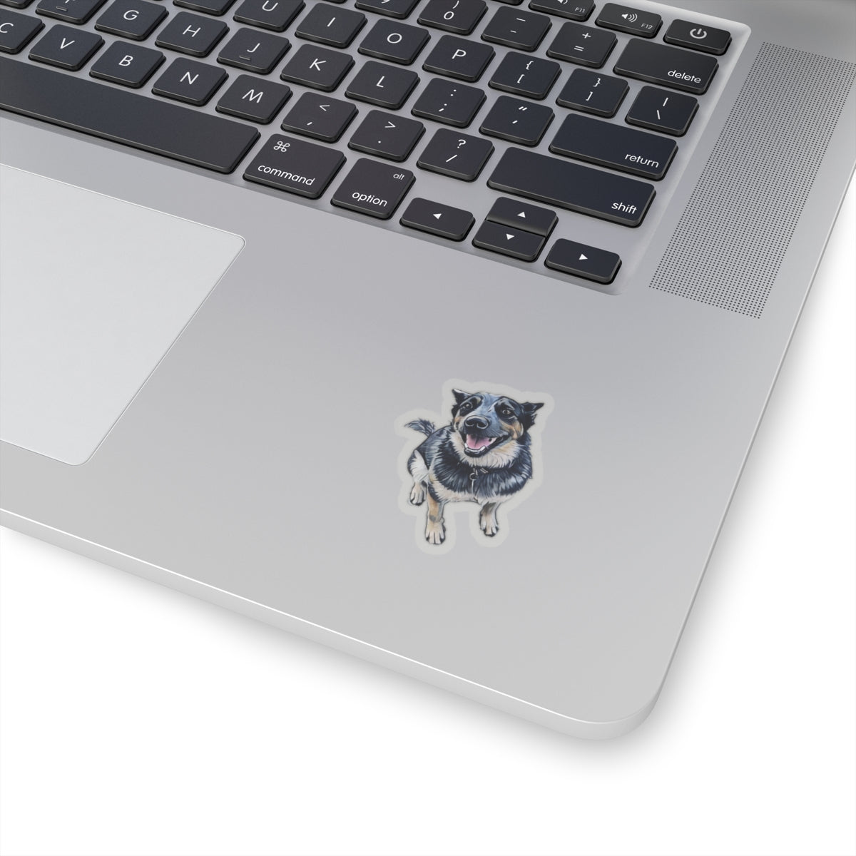 Blue Heeler Sticker