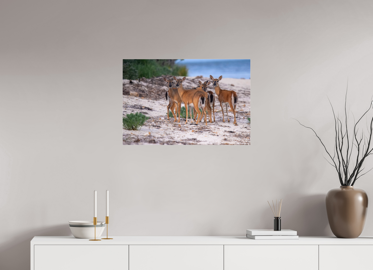 29.7 x 20″, Photo Print Under Acrylic Glass Key deer on acrylic glass