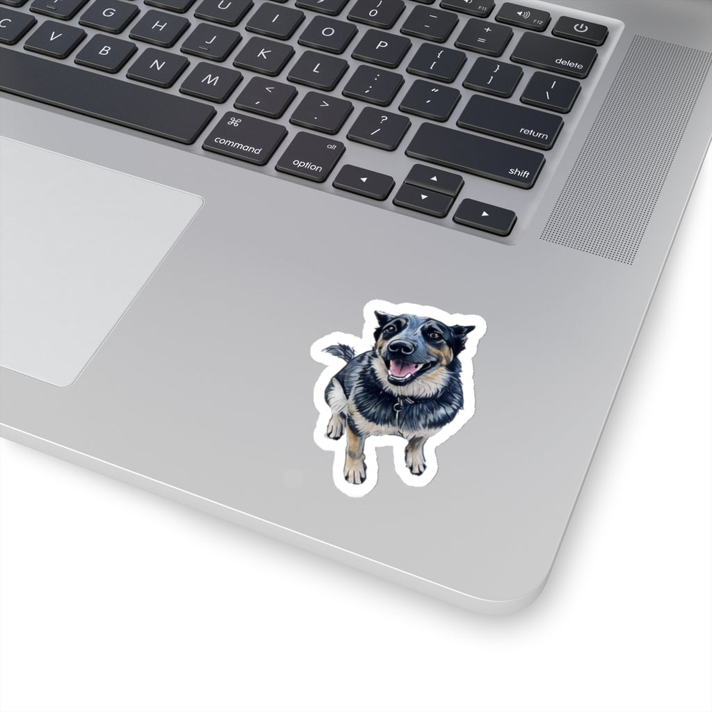 Blue Heeler Sticker