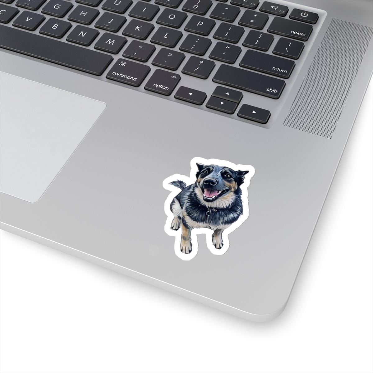 Blue Heeler Sticker