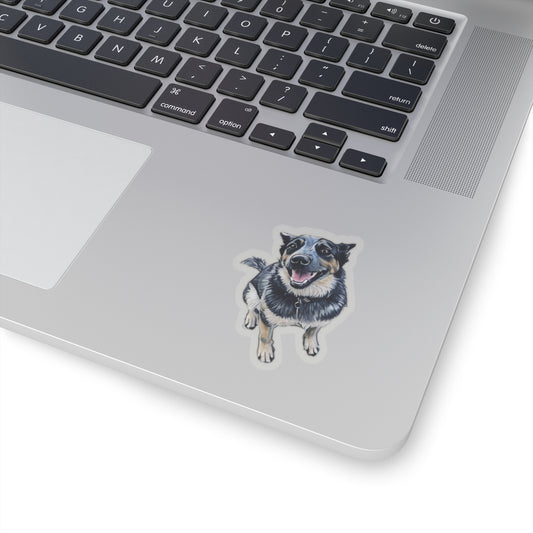 Blue Heeler Sticker