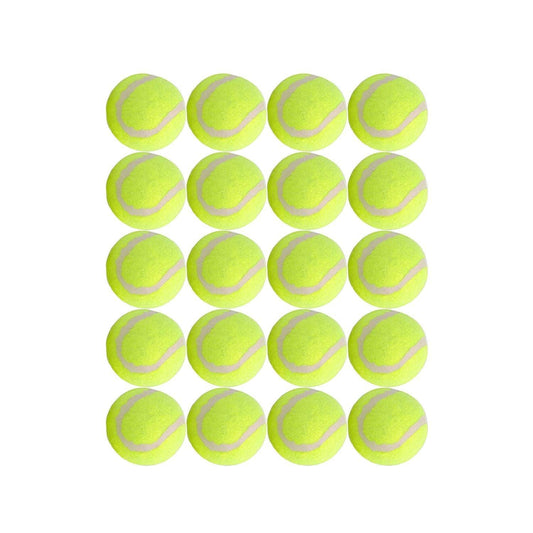 Dog Tennis Balls 20 Pack Pet Tennis Ball for Small Dogs Premium Fetch Toy Non-Toxic Non-Abrasive Material