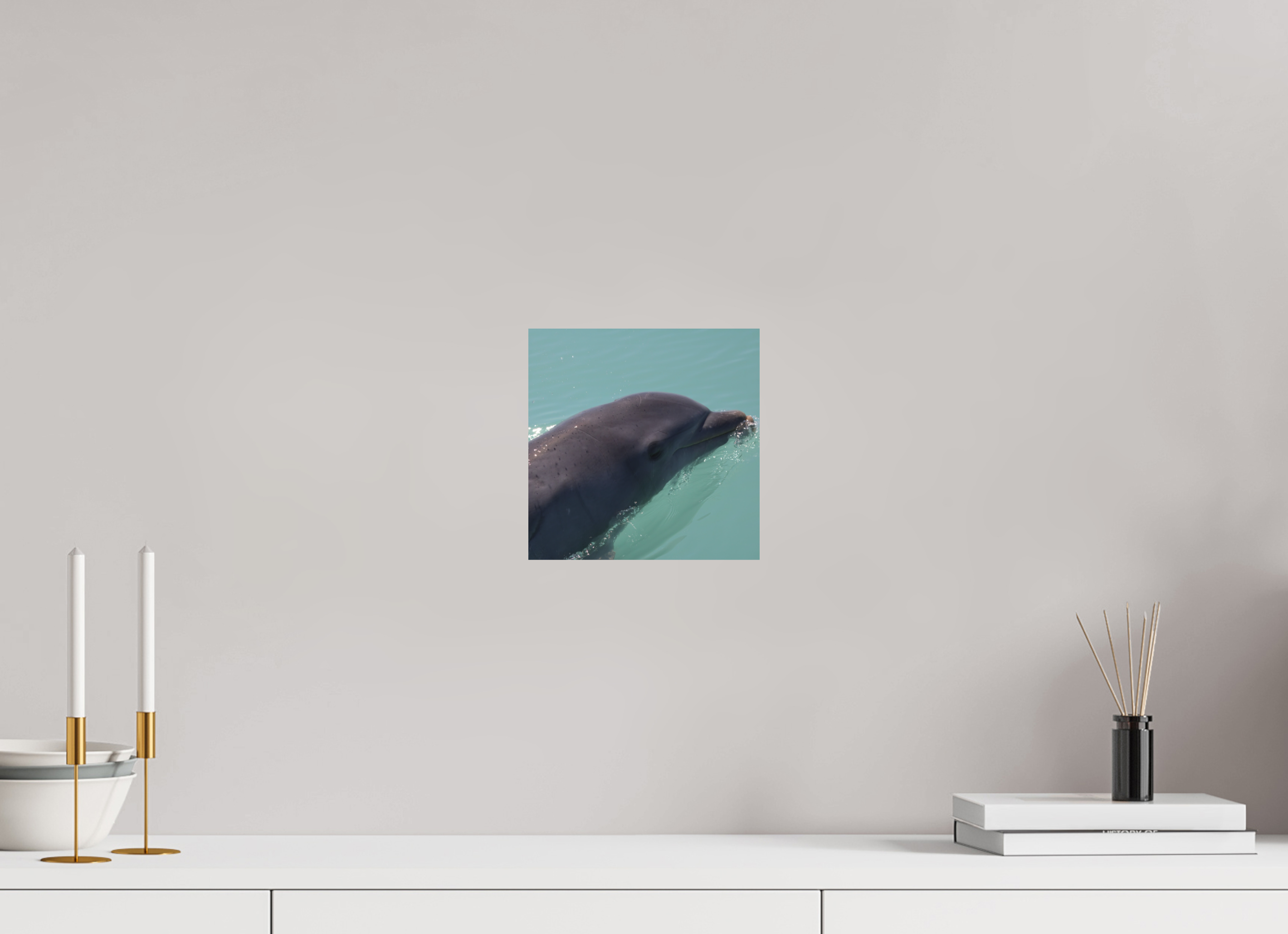 Smiling Dolphin Direct Print on Forex